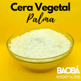 Cera Vegetal de Palma - 1 Kg