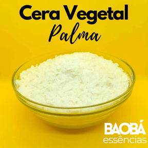 Cera Vegetal de Palma - 1 Kg