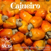 Essência Premium CAJUEIRO - ÓLEO FRAGRÂNCIA