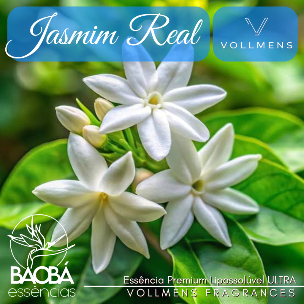 Essência PREMIUM JASMIM REAL - (Vollmens) - ÓLEO FRAGRÂNCIA