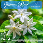 Essência PREMIUM JASMIM REAL - (Vollmens) - ÓLEO FRAGRÂNCIA