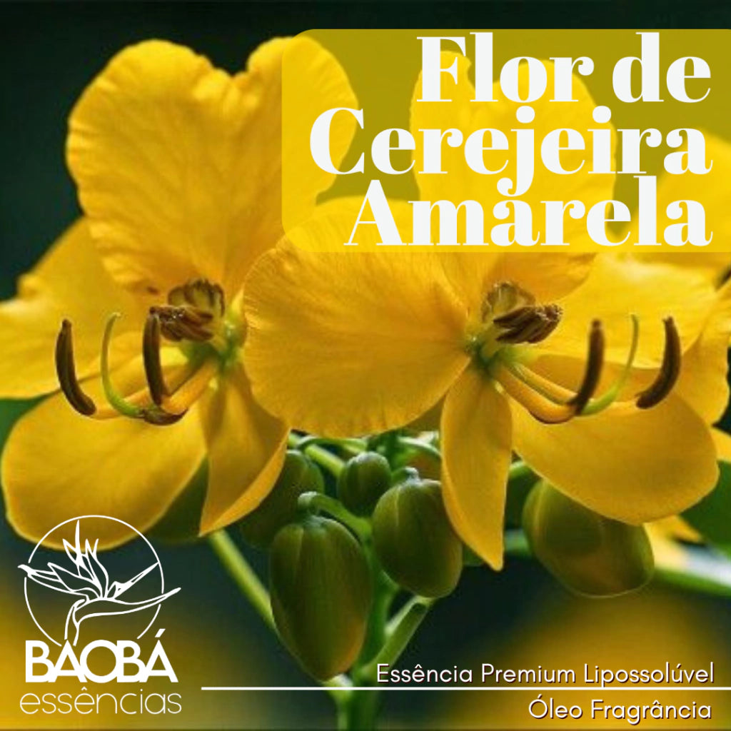 Essência Premium Flor de Cerejeira Amarela - ÓLEO FRAGRÂNCIA